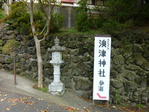 P1000492.jpg