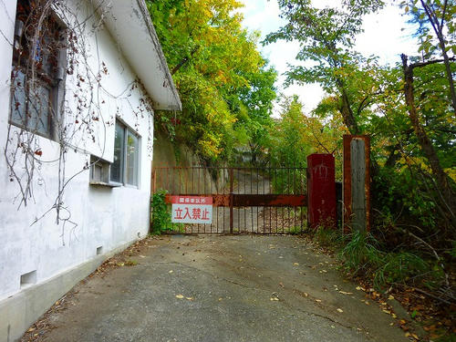 P1000508.jpg