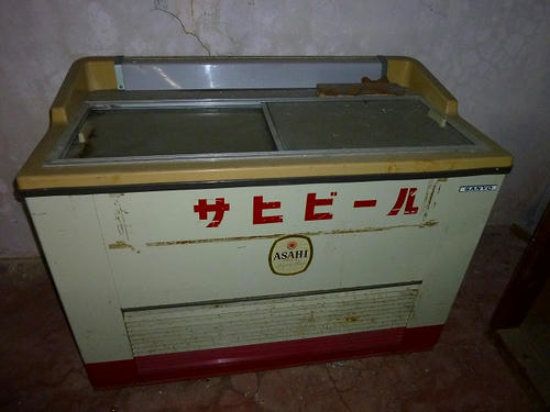 P1000536.jpg