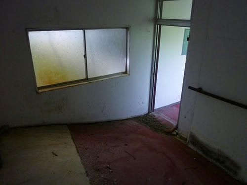 P1000833.jpg