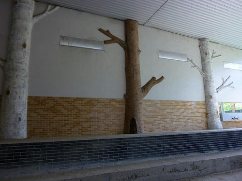 P1000825.jpg