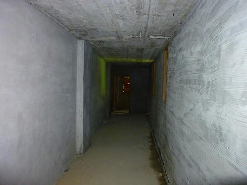 P1000596.jpg