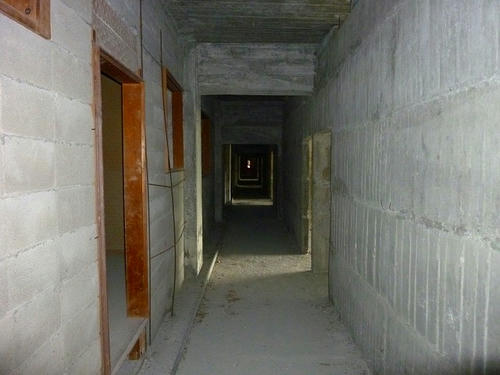 P1000597.jpg