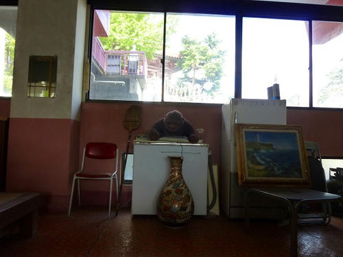 P1000629.jpg