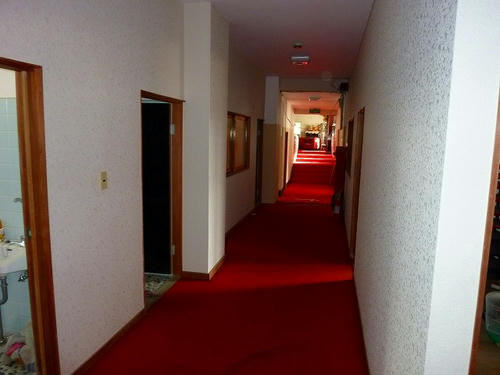 P1000646.jpg