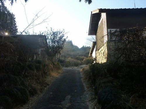 P1080396.jpg