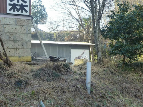 P1080402.jpg