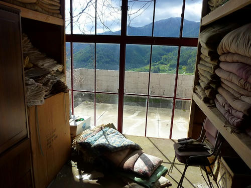 P1000669.jpg