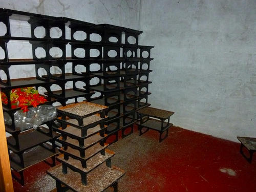P1000754.jpg