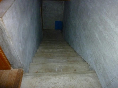P1000764.jpg