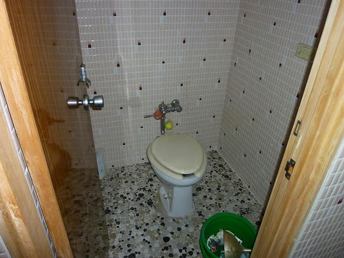 P1000731.jpg