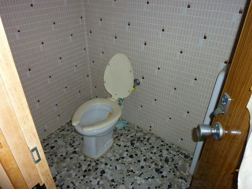 P1000734.jpg