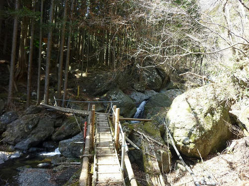 P1090292.jpg