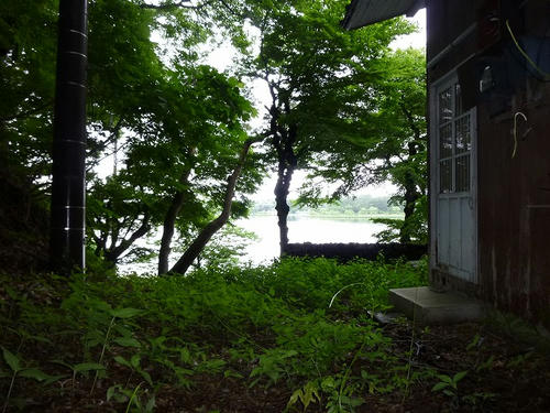 P1050809.jpg