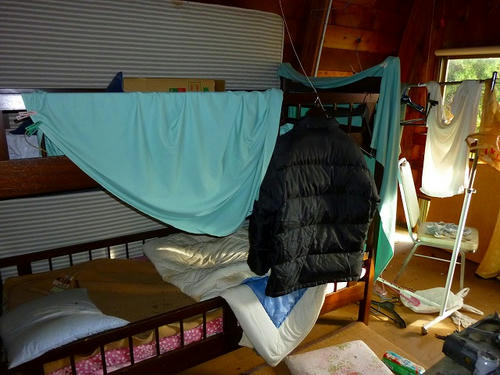 P1000991.jpg