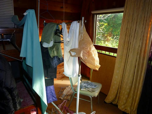 P1000993.jpg