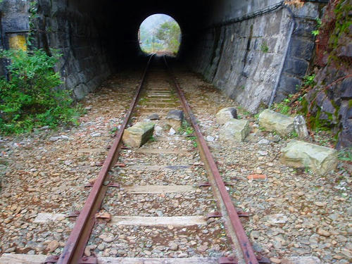 P1011687.jpg