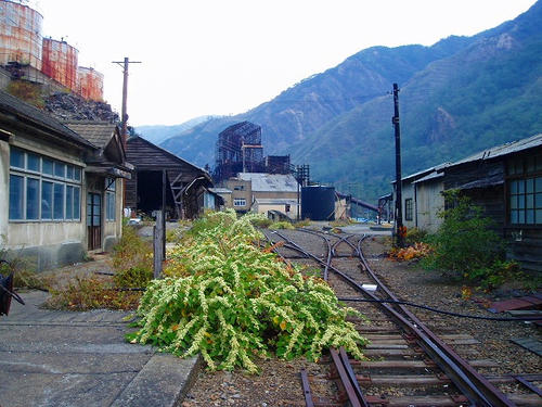 P1011670.jpg