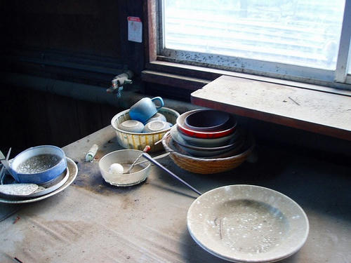 P1011663.jpg