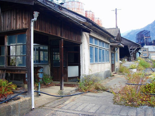 P1011666.jpg