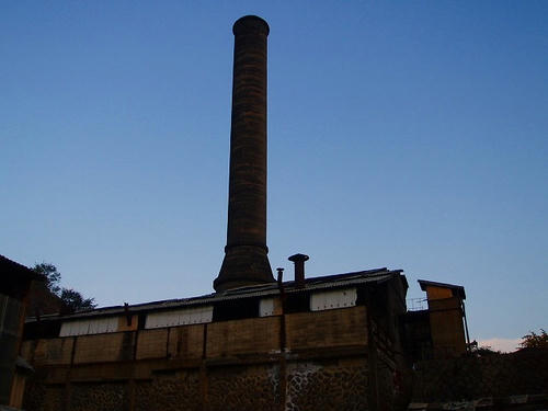 P1011623.jpg