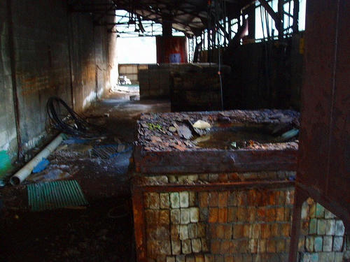P1011631.jpg