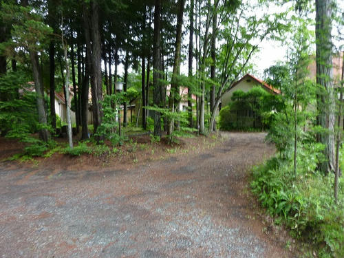 P1050848.jpg