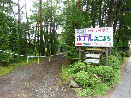 P1050849.jpg