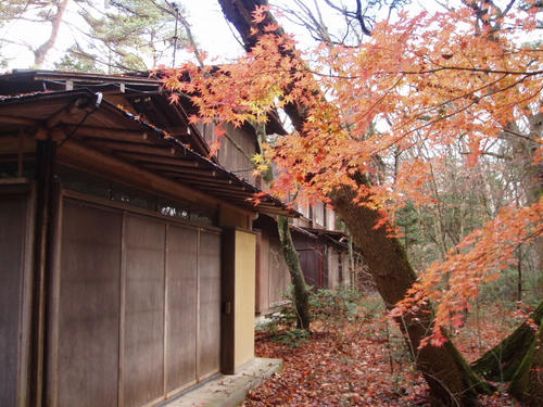 P1010947.JPG