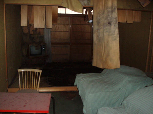 P1011033.JPG