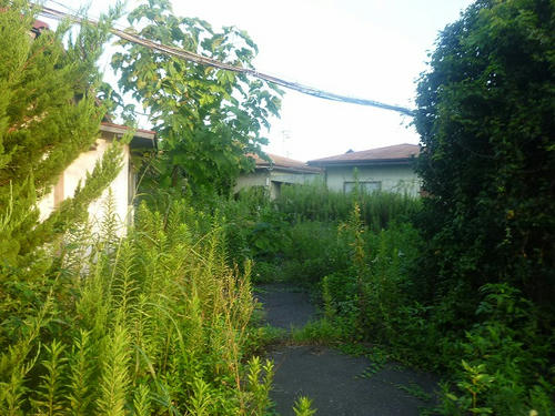 P1060763.jpg