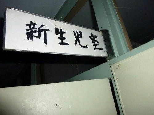 P1050587.jpg