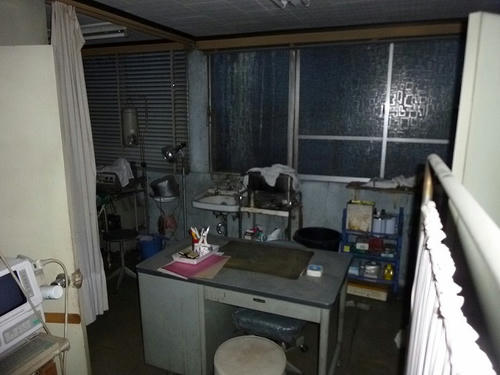 P1050564.jpg