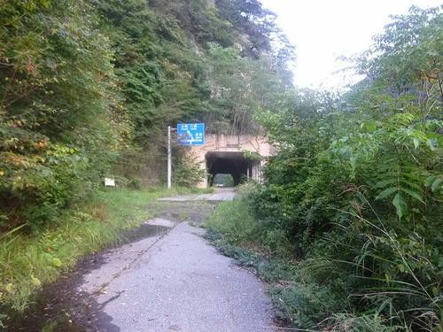 P1070062.jpg