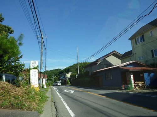 P1110874.jpg