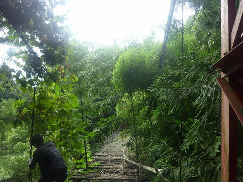 P1060850.jpg