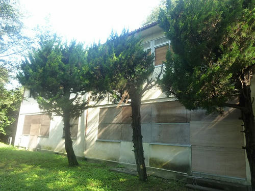 P1060832.jpg