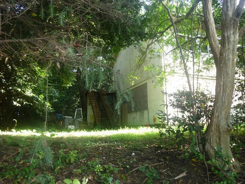 P1060834.jpg