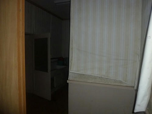 P1060807.jpg