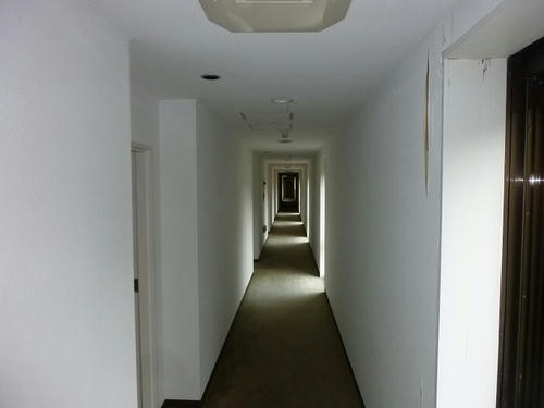 P1050645.jpg