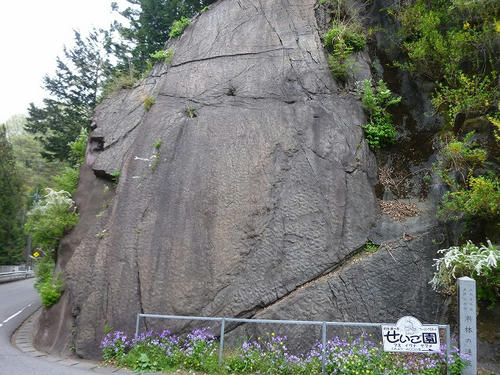 P1030832.jpg