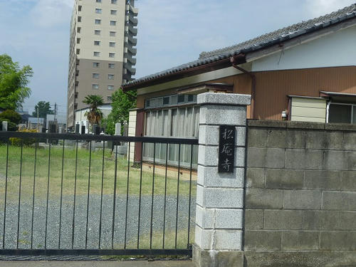 P1130043.jpg