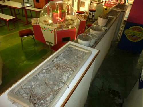P1030543.jpg
