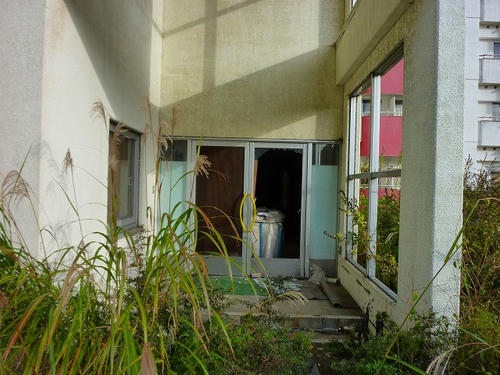 P1000974.jpg