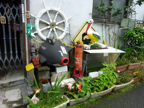 P1050500.jpg