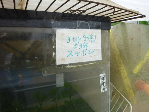 P1050504.jpg