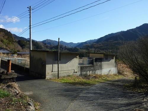 P1020386.jpg