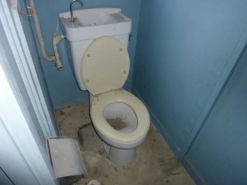 825c6573.jpeg