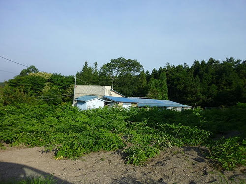 P1110483.jpg