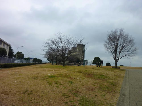 P1030022.jpg